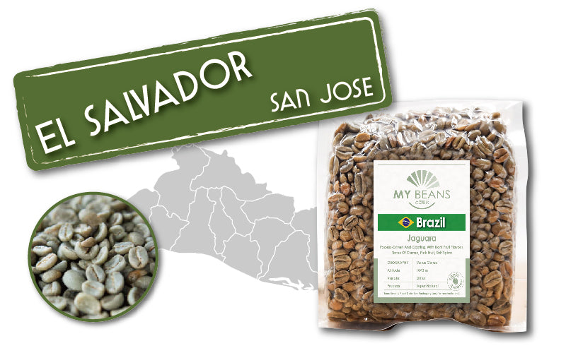 El Salvador | San Salvador Volcano | Red Bourbon | Washed Fermented
