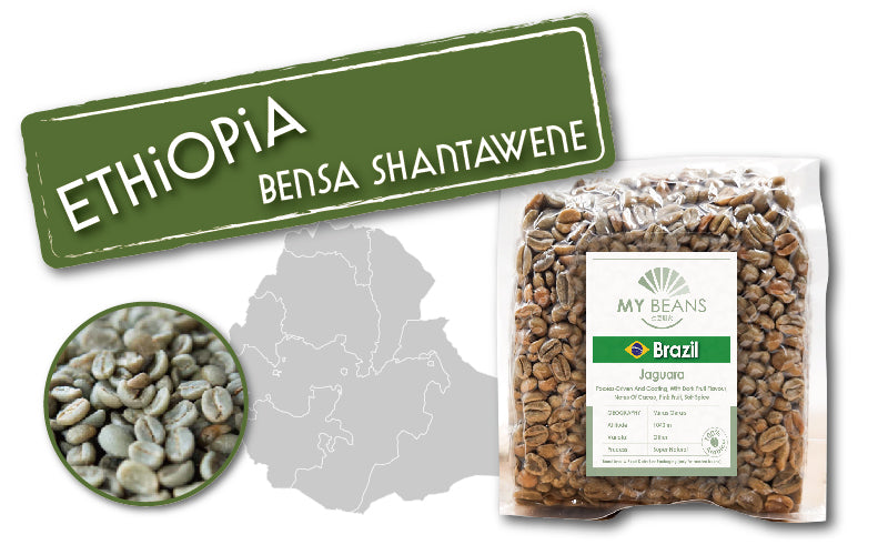Ethiopia | Bensa Shantawene Sidma | Heirloom | Washed