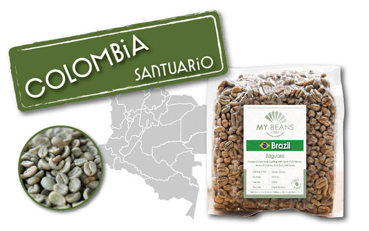 Colombia | Cauca | Red Bourbon | Washed
