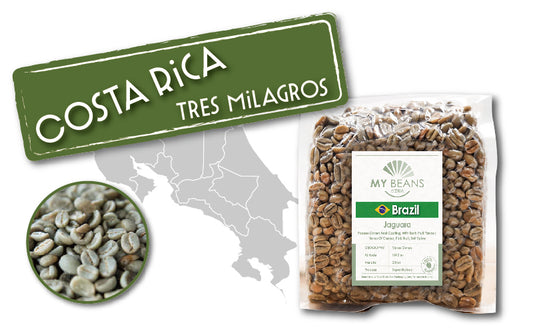 Costa Rica | Dota Tarrazu | Red Bourbon | Classic Honey