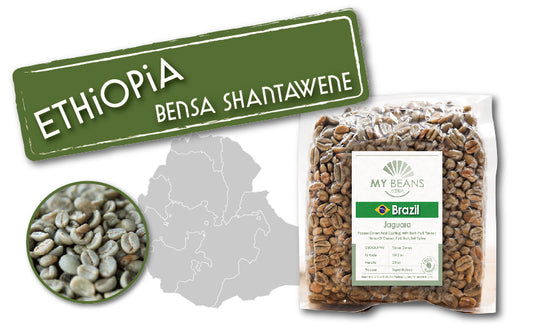 Ethiopia | Bensa Shantawene Sidma | Heirloom | Washed