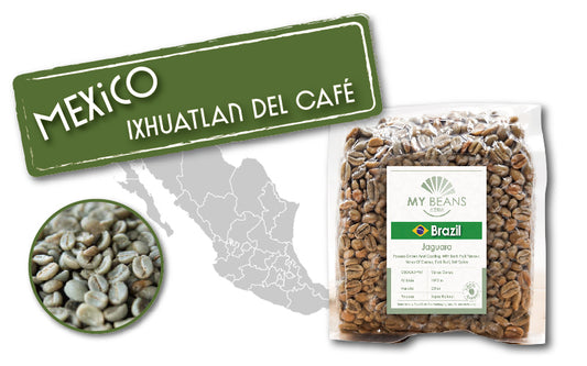 Mexico | Volcan Orizaba | Criollo | Washed Fermented