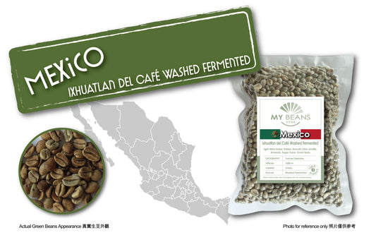 Mexico | Volcan Orizaba | Criollo | Washed Fermented